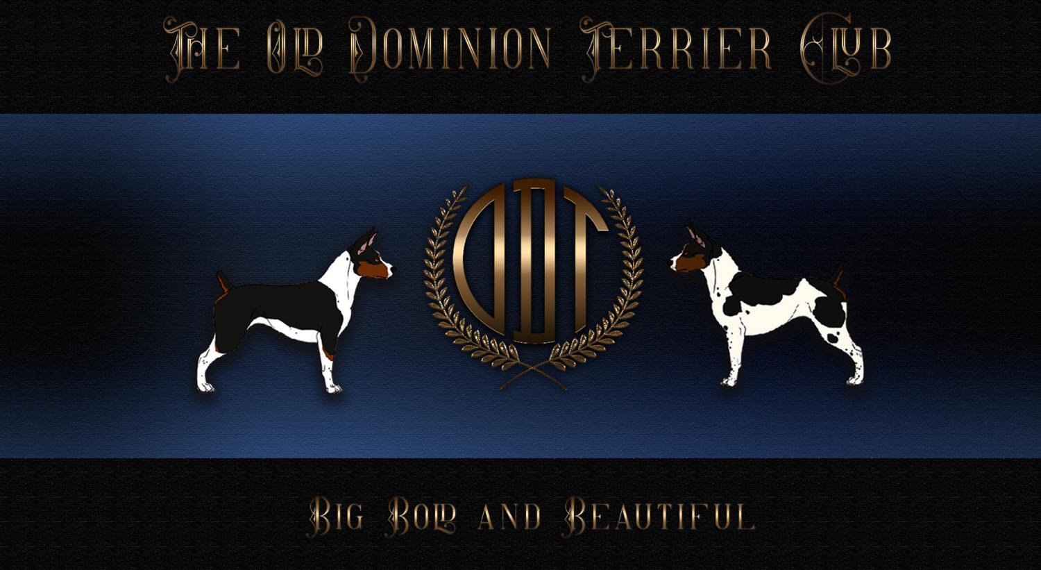 Fox terrier club of america hotsell
